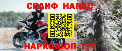МДПВ Будённовск