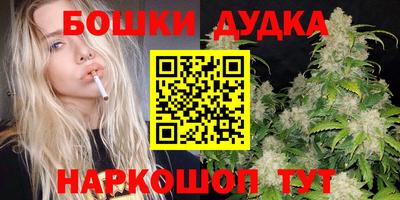 МДПВ Будённовск