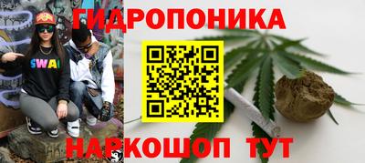 МДПВ Будённовск